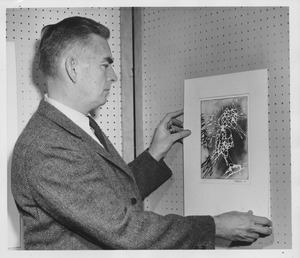 Donald R. Matheson hanging a picture