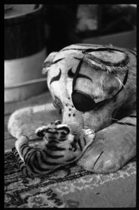 Stuffed toy tigers, one with an eyepatch, in W. Eugene Smith's home