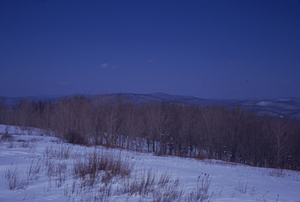 Panorama to the East, Jim Smith Hill, Taconic Crest. Image 5. View to northeast.