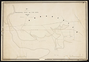 Plan of the route to Commercial Point and Pine Neck / S.D. Eaton, engr.