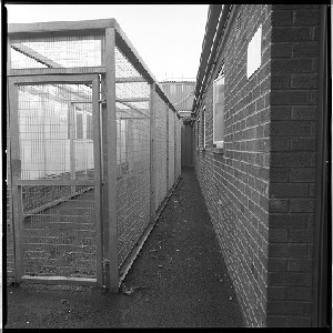 RUC station, Castlereagh, Belfast. Notorious for being the place in which many IRA prisoners were interrogated.  Known commonly as the Castlereagh Holding Centre. Bobbie was the only photographer allowed into the building to take photographs before it was demolished. Warder's walkway alongside exercise cages for prisoners