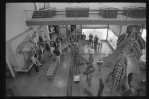 Photographs of a tour of the Pratt Museum of Natural History, 1999 November