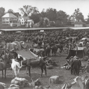 10th U.S. Cavalry making camp at the Northampton fair grounds