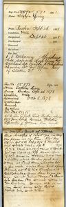Tewksbury Almshouse Intake Record: Young, Lizzie