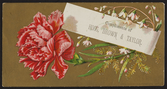 Trade card for Hogg, Brown & Taylor, dry goods, 477 to 481 Washington Street, Boston, Mass., ca. 1880