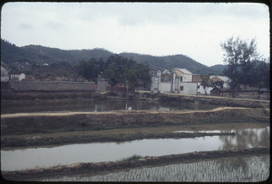 Foshan: paddy, pond, commune, hills, afforestation