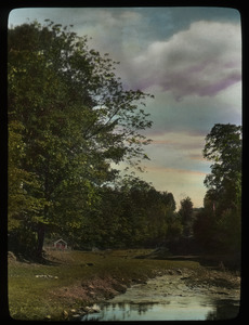 Shallow stream lined with grass and trees