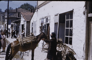 Working horse in Ohrid