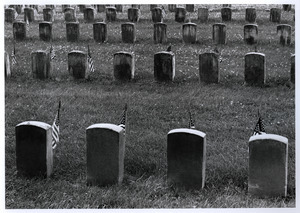 Orderly lines of graves