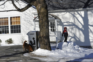 Child and golden retriever playing in snow in front of new New Salem Public Library