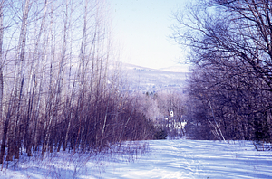 Carriage House from top of Plains of Abraham Hill