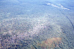 Aerial oblique view from Taconic Ridge to Bernardy's Farm in South Branch of Birch Brook on 2 Sept 1971.