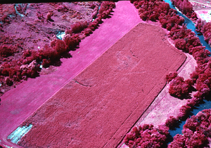 Aerial false-color IR image of Wire Bridge Farm corn silage field on Northwest Hill - Hoosic River floodplain.