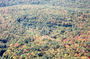 Aerial oblique close view South across Primmer Strawberry field on 14 October 1971.