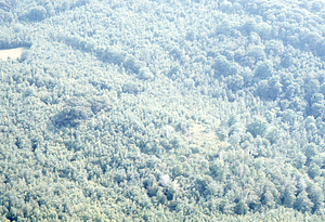 Aerial oblique view from the Whitman meadow to boundary with Hopkins Forest on 14 July 1971.