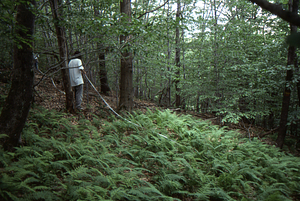 Hayscented Fern Study. 8. Andrew Werbrock (Class of 2000) laying out permanent plot near Taconic Range ridge.