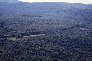 Aerial oblique view SW from old NW Hill Rd. toward bend in new NW Hill Rd.