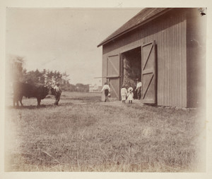 Barn at the Lyman estate, Waltham, Mass.