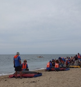 International Fund for Animal Welfare volunteers care for stranded dolphins lying on cushions near the water, with crowd looking on