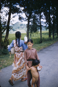 Young woman carrying things from the market