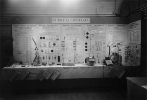 State Tricentenary 1930