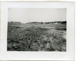 Duxbury Cranberry Company: view north over Bog #2, Sam's house and shanties in distance