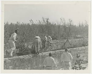 Military Training at Springfield College during World War II (ca. 1943)