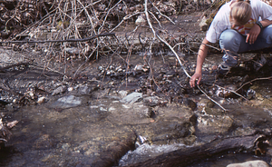 Rebecca Parkinson (Class of 2000) examines water valve in Ford Glen Brook, infrastructure for the Buxton Farms - AL Hopkins' mansion domestic water system.