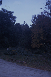 Overgrown Buxton Garden at 1935 realigned Carriage Road at its intersection with the south leg of the Lower Loop Trail.