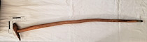 Cane
