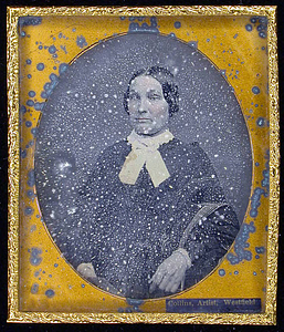 Half-length portrait of an unidentified adult female