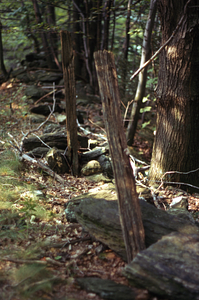 Chestnut fencepost (close-up) on east boundary stone wall of Moon Lot.
