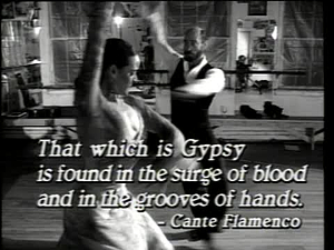 ¡Colores!; Flamenco: A Lost Art Revived in New Mexico, Lori Silverman