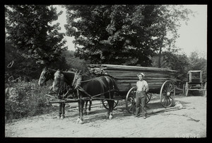 Man with team of horses pulling lumber wagon, Shrewsbury, Massachusetts