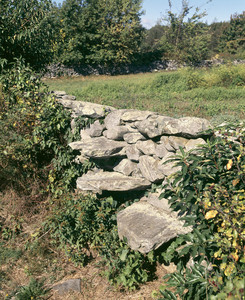 Stone wall with stile, Casey Farm, Saunderstown, R.I.