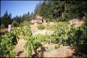 Serendipity Farm house and vineyard looking southeast
