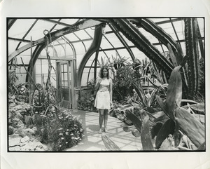 Diana Mara Henry in conservatory