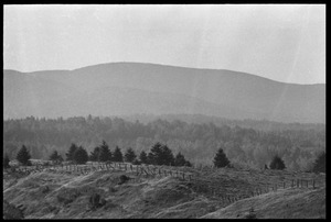 Fenceline and rolling hills, Earth People's Park