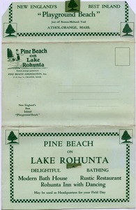 Pine Beach on Lake Rohunta