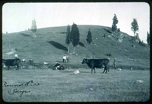 Round Hill, Saugus Center, Town Seal Site