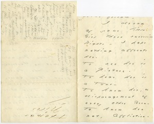 Emily Dickinson letter to [Mrs. Mabel Loomis Todd?]