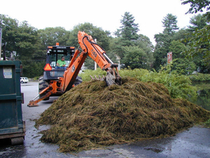 Moving milfoil mountain