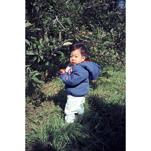 Boy in an orchard on a Chinese Progressive Association trip