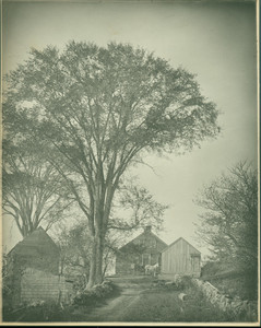 Country road with horse, carriage, and farm house, Peterboro, N. H., undated