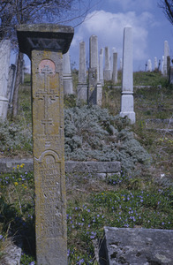 Older section of Šumadija cemetery
