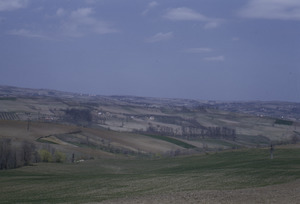 Cultivated fields, Orašac