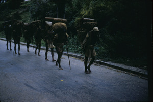 Porters carrying goods to market