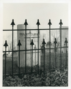 Fence and shadow