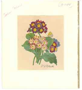 Easter card from Wilda Gunn to W. E. B. Du Bois