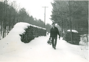 Forestry and Wildlife Management - Mt. Toby Forest